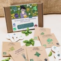 Kit herbes aromatiques - dès 3 ans - bio - France - LES PETITS RADIS