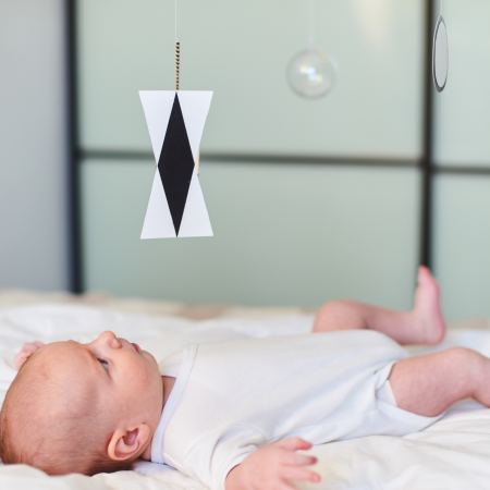 0/6 mois : Comprendre bébé pour adapter sa chambre et ses jeux - Montessori et neurosciences